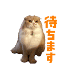 Mohukocha（個別スタンプ：16）