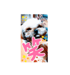 イケさんと義理の姉妹達（個別スタンプ：5）