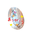 イケさんと義理の姉妹達（個別スタンプ：7）