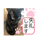 黒猫一家(お市っちゃんの巻)（個別スタンプ：3）