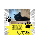 黒猫一家(お市っちゃんの巻)（個別スタンプ：5）