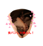 ももすけの日常で使えるスタンプ！！3（個別スタンプ：3）