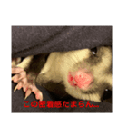 ももすけの日常で使えるスタンプ！！3（個別スタンプ：8）