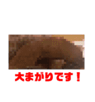 アイビー福岡のゆかいな仲間たち 2（個別スタンプ：24）