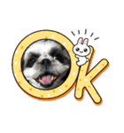 我が家のシーズー犬もじゃ 23（個別スタンプ：15）