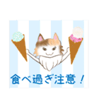 綺麗な猫らいらい♡あいさつ夏編♡（個別スタンプ：25）