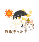 綺麗な猫らいらい♡あいさつ夏編♡（個別スタンプ：26）