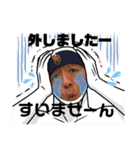 チームジョイハート（個別スタンプ：25）