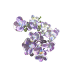 紫陽花（文字無し）hydrangea（個別スタンプ：38）