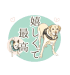 川上犬とみんな仲良しスタンプ（個別スタンプ：12）