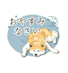 川上犬とみんな仲良しスタンプ（個別スタンプ：15）