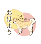 川上犬とみんな仲良しスタンプ（個別スタンプ：16）