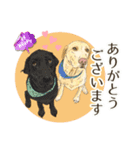 川上犬とみんな仲良しスタンプ（個別スタンプ：20）