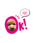 ♡もねまりん♡（個別スタンプ：1）