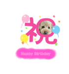 ♡もねまりん♡（個別スタンプ：4）