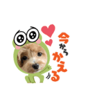 ♡もねまりん♡（個別スタンプ：5）