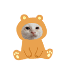 ちょろネコのちょろ（個別スタンプ：2）