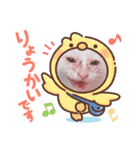 ちょろネコのちょろ（個別スタンプ：3）