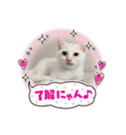 ちょろネコのちょろ（個別スタンプ：4）