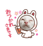 ちょろネコのちょろ（個別スタンプ：5）