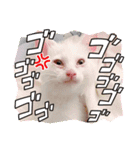 ちょろネコのちょろ（個別スタンプ：14）