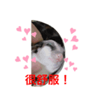 ももすけの日常で使えるスタンプ！中国語版（個別スタンプ：8）