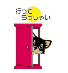 【BIG】チワワのティーくん（修正販）（個別スタンプ：19）