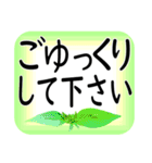 大きな文字で 挨拶 気遣い日常会話（個別スタンプ：39）