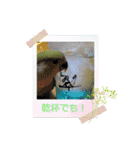 BIRDLIFE777（個別スタンプ：10）