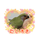 BIRDLIFE777（個別スタンプ：16）