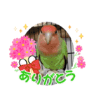 BIRDLIFE777（個別スタンプ：27）