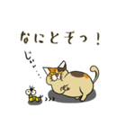 デブ猫のメケ ちょいクセのある敬語（個別スタンプ：21）