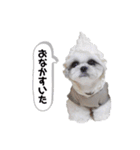 爆走すータンプ（個別スタンプ：37）