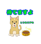 とりあえず 犬 vol.1（個別スタンプ：10）