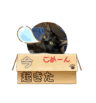 黒猫一家(さくらの巻)（個別スタンプ：8）