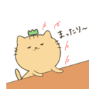 みかんのねこ（個別スタンプ：40）