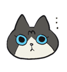 JILL ジルねこ（個別スタンプ：1）