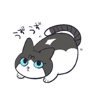 JILL ジルねこ（個別スタンプ：11）