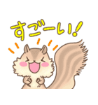 毎日使えるかわいい動物さんスタンプ（個別スタンプ：12）