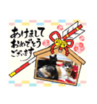 3匹のねこ・猫・Cat（個別スタンプ：30）