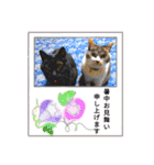 3匹のねこ・猫・Cat（個別スタンプ：36）