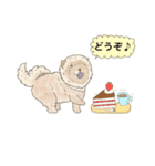 チャウチャウ犬のスタンプ（個別スタンプ：2）