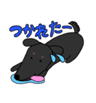 渡辺家の犬たち③（個別スタンプ：17）