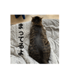 新居ひめちゃんスタンプ（個別スタンプ：9）