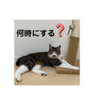 新居ひめちゃんスタンプ（個別スタンプ：12）