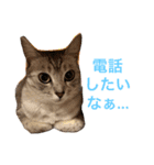 むぎたんとゆきたん（個別スタンプ：1）