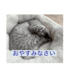 むぎたんとゆきたん（個別スタンプ：15）