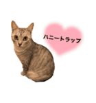 むぎたんとゆきたん（個別スタンプ：16）