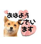モコスタンプの巻1（個別スタンプ：1）