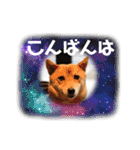 モコスタンプの巻1（個別スタンプ：5）